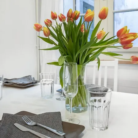 Beautiful In Old Town House Center Apartment Zurich