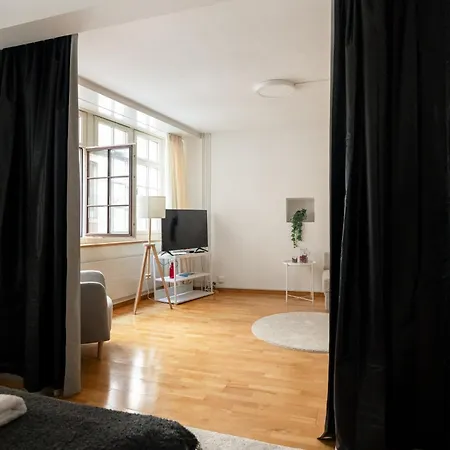 Beautiful In Old Town House Center Apartment Zurich